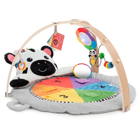 Babygym Zen's Activity Milestones Baby Einstein