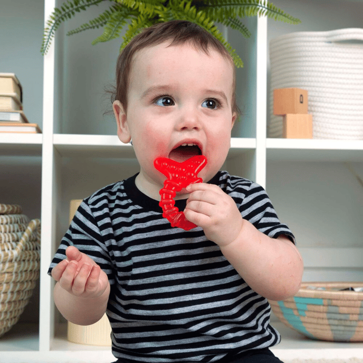 Bitleksak med Vatten Fiskar Baby Einstein