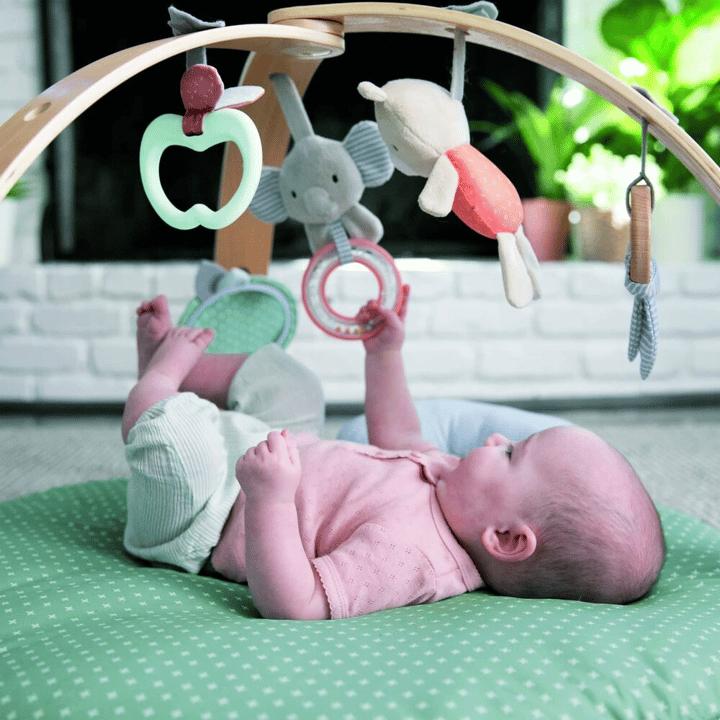 Babygym Ingenuity