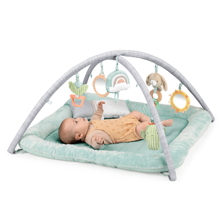 Ingenutiy Babygym Premium Plysch Ingenuity