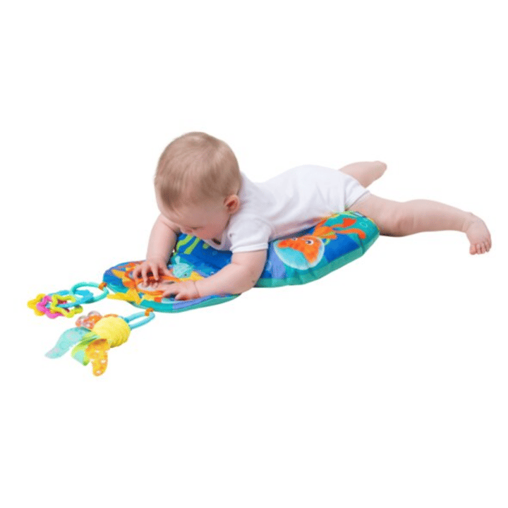 Kudde tummy time Playgro