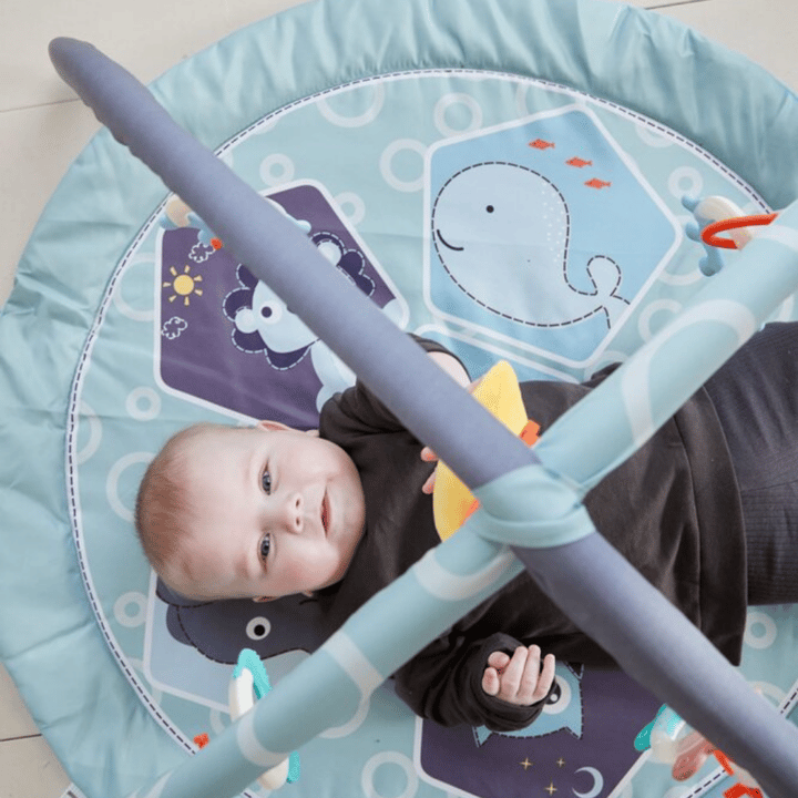 Scandinavian BP Babygym ZOO Scandinavian Baby Products