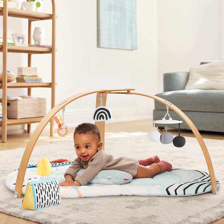 Babygym Discoverosity Skip Hop