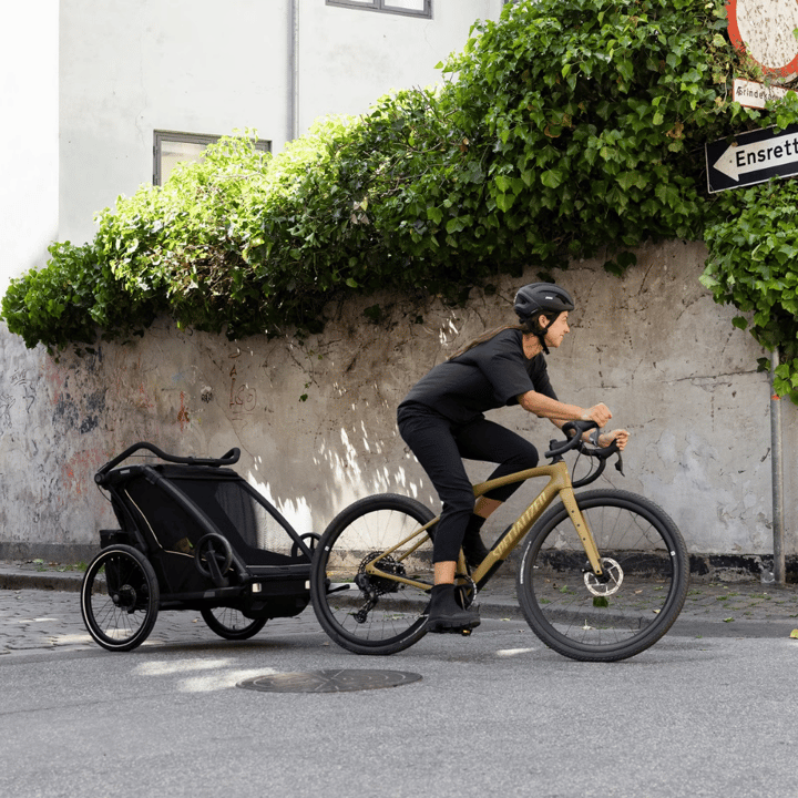 Chariot Sport 2 Double - Gold Thule